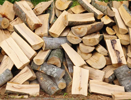 Abattage à Pontarlier : un savoir-faire précis !